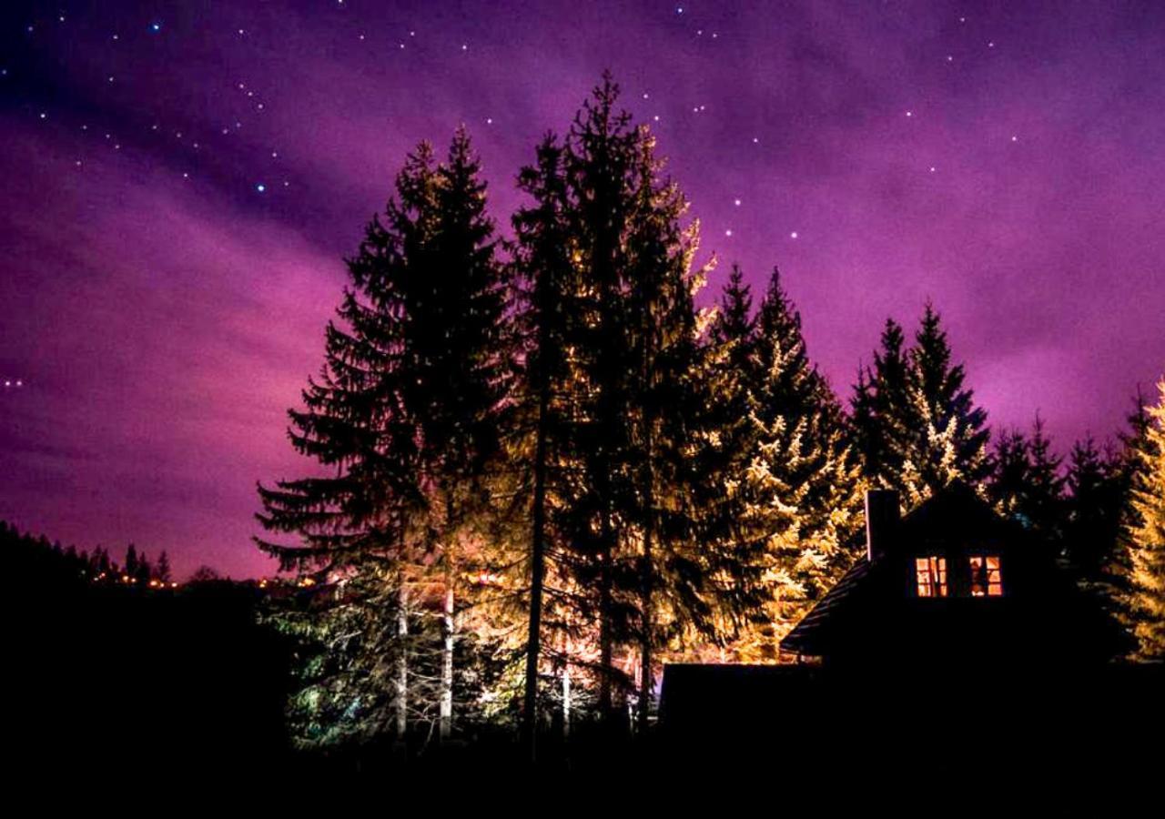 Fabryka Snow Loft W Sercu Beskidow Istebna Bagian luar foto